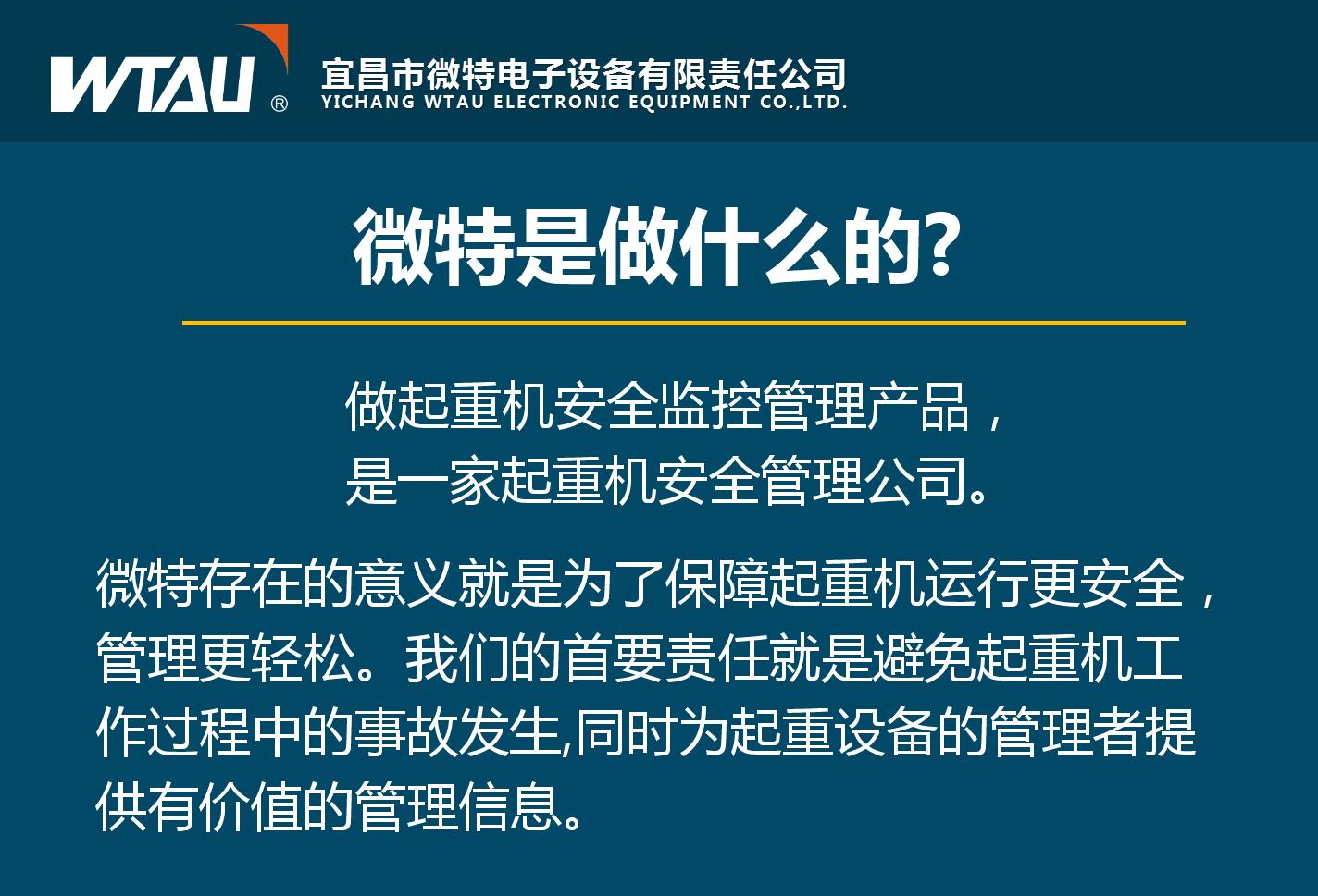 微特理念及未來(lái)愿景的解讀