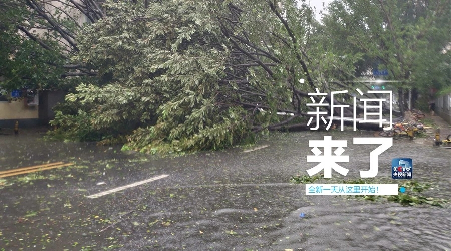 “山竹”怒過(guò)，高空塔吊你還好嗎？